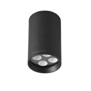 Outdoor Ceiling Light 2003-4