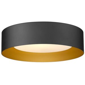 C-3336XS Surface Light