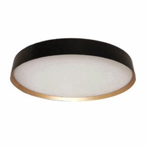 Indoor Ceiling Light 7032C