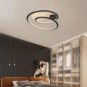 Modern Ceiling Light C0697-800A