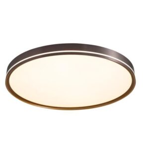 C0527-500A Modern Ceiling Light