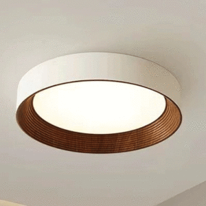 إنارة السقف الداخلية