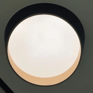 Black Ceiling Light 9326