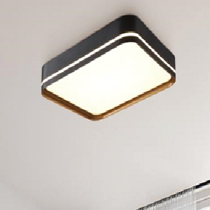 LED Ceiling Light