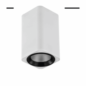 Outdoor Ceiling Light